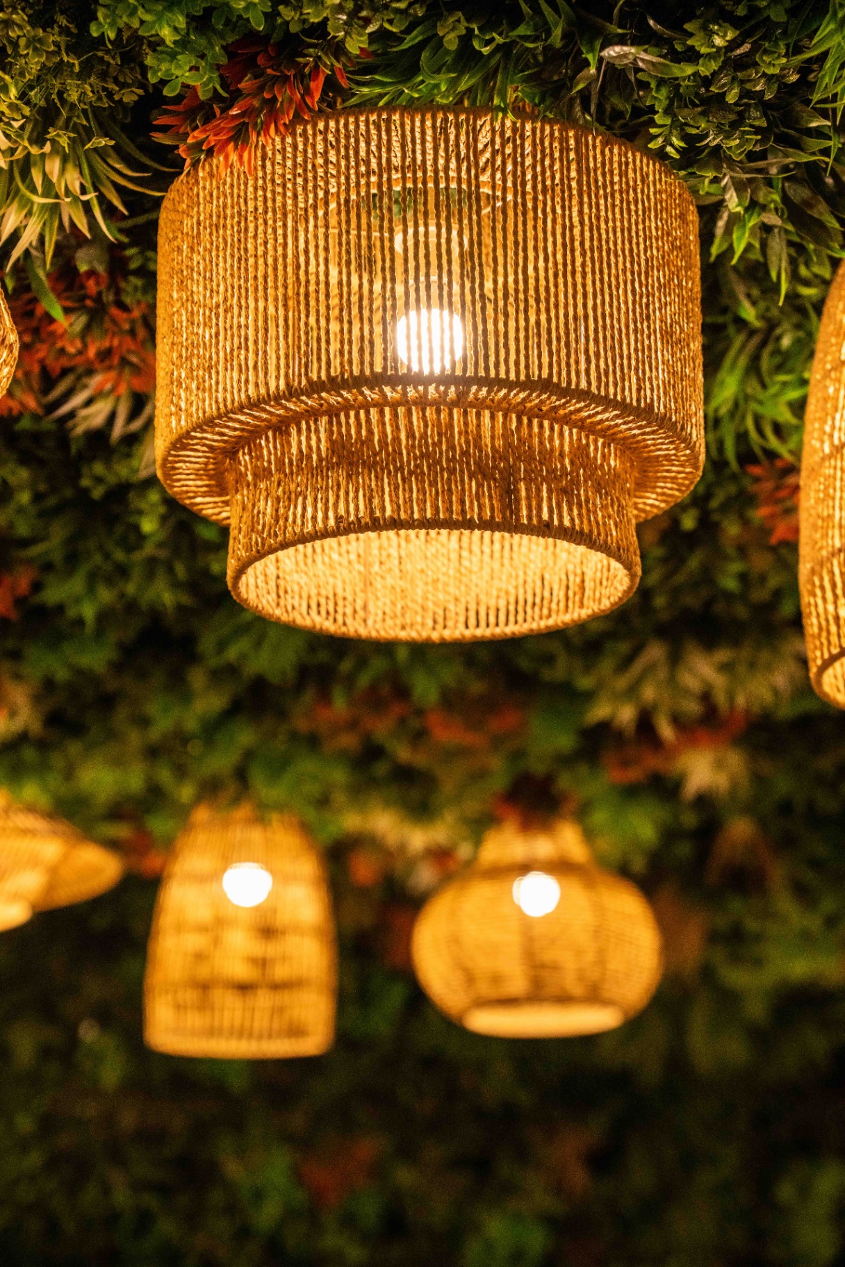 Close-up of layered rope pendant lamps suspended over a green plant wall